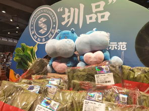 圳品來襲 供深食品銷售火爆，龍崗人搶購指南